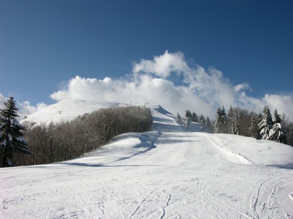 Corso di avviamento e perfezionamento allo sci alpino e snowboard 2017