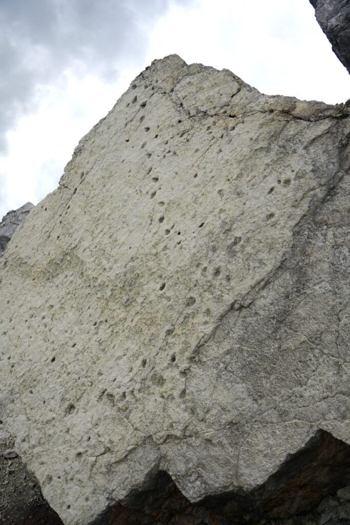 Geostop 47.2: Impronte di Dinosuri su masso alle pendici del monte Pelmetto
